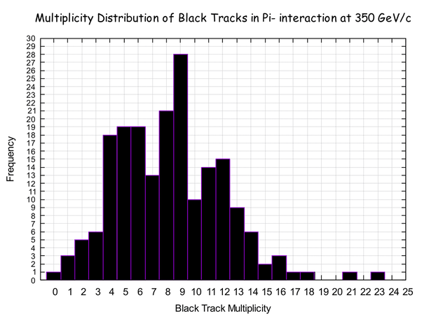 Black Track Multiplicity Distribution
